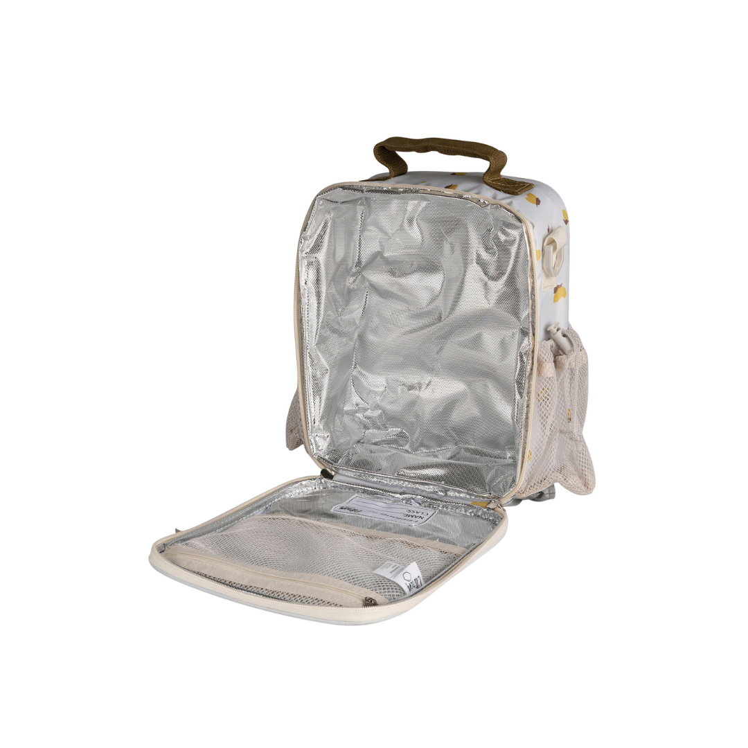 Insulated best sale lunch backpack