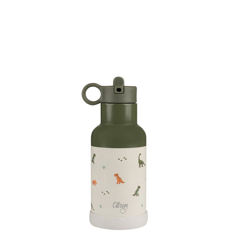 2022 SS Water Bottle 350ml - Cherry