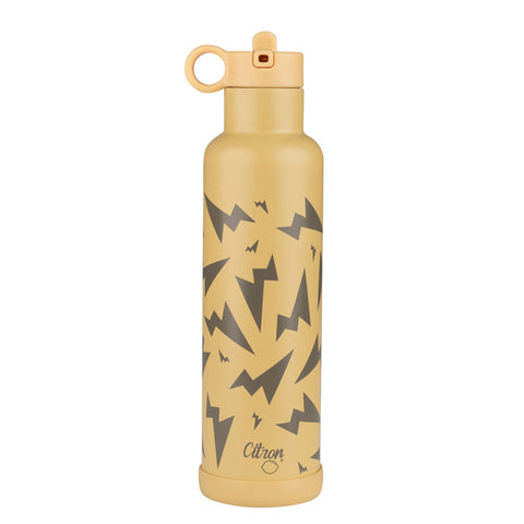 2022 SS Water Bottle 750ml - Purple