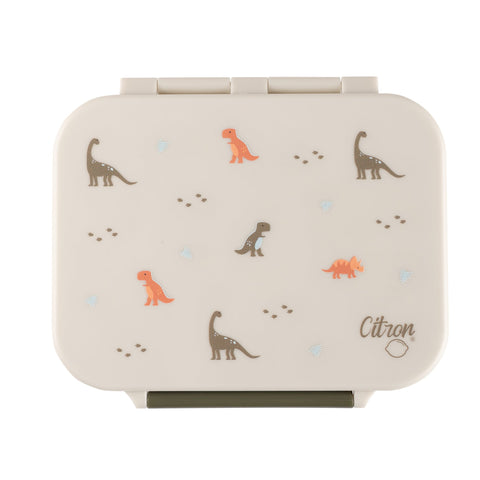 2022 Tritan Snack Box - Dino