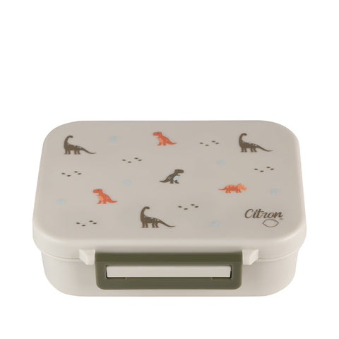 2022 Tritan Snack Box - Dino