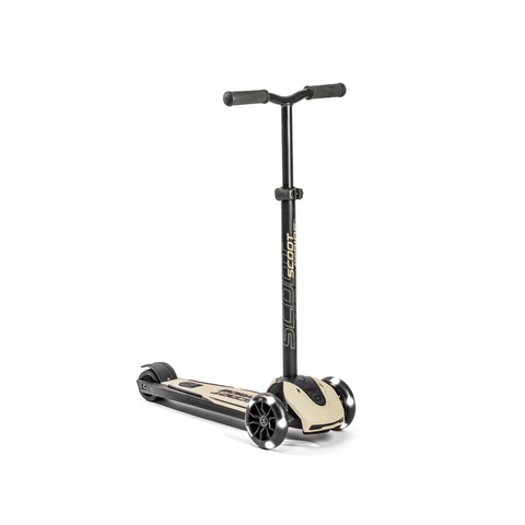 Highwaykick 5 LED Scooter - Steel