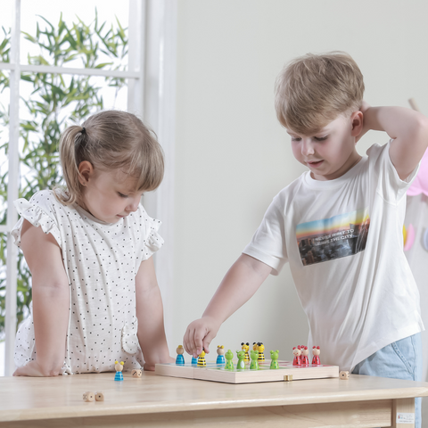 Ludo Board Game