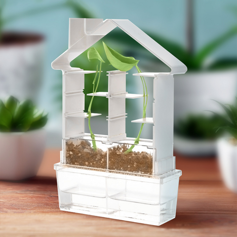 PlaySteam Plant Maze Botany Kit Set