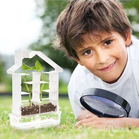 PlaySteam Plant Maze Botany Kit Set