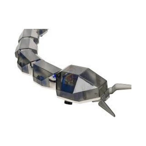 PlaySteam Soccer Snake