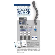 PlaySteam Soccer Snake