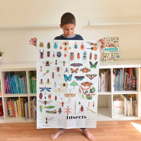 Discovery Stickers Poster - Insects