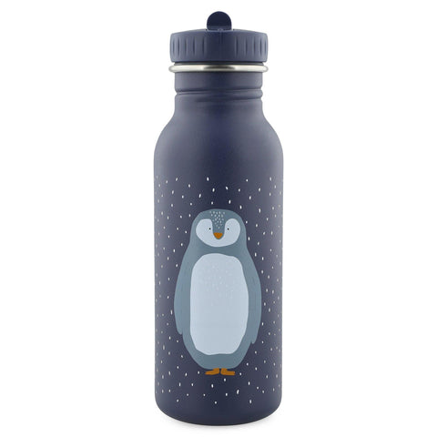 Stainless Steel Bottle 500ml - Mr. Lion - The Crib