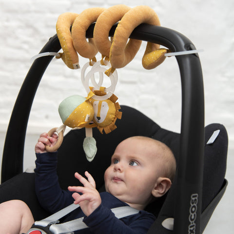 Activity Spiral - Mr. Lion - The Crib